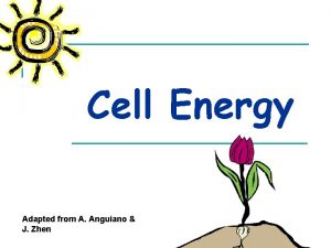 Cell Energy Adapted from A Anguiano J Zhen