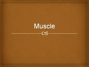 Muscle Objectives Define myogenesis Explain different ways myogenesis
