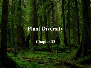 Plant Diversity Chapter 22 What Is A Plant