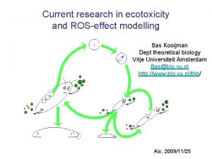 Current research in ecotoxicity and ROSeffect modelling Bas