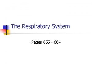 The Respiratory System Pages 655 664 Human Respiratory