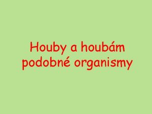 Houby a houbm podobn organismy SAR Stramenopila Alveolata