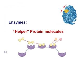 Enzymes Helper Protein molecules s 1 Flow of