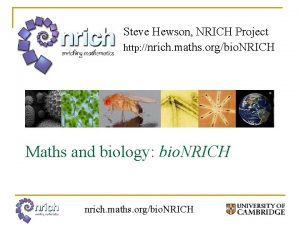 Steve Hewson NRICH Project http nrich maths orgbio