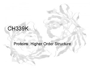 CH 339 K Proteins Higher Order Structure Higher