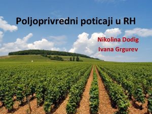 Poljoprivredni poticaji u RH Nikolina Dodig Ivana Grgurev