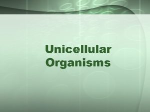 Unicellular Organisms Unicellular Organisms Definition Unicellular organism an