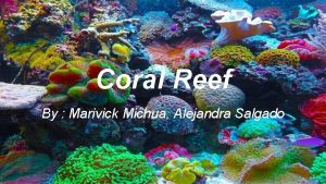 Coral Reef By Marivick Michua Alejandra Salgado Primary