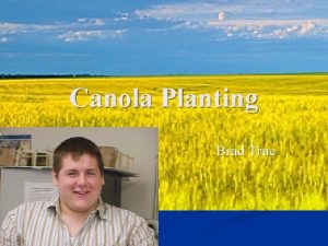 Canola Planting Brad True Seed Bed Preparation Canola