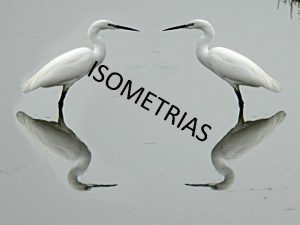 ISO ME TR IAS ISOMETRIAS O tema que