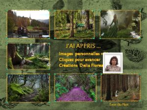 JAI APPRIS Images personnelles Net Cliquez pour avancer