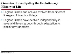 Overview Investigating the Evolutionary History of Life Legless