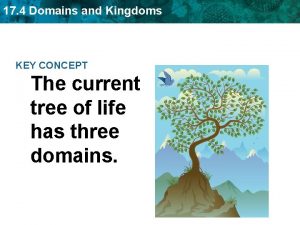 17 4 Domains and Kingdoms KEY CONCEPT The