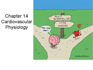 Chapter 14 Cardiovascular Physiology Heart Circulation Deoxygenated blood