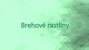 Brehov rastliny Brehov rastliny tvoria vby jele topole