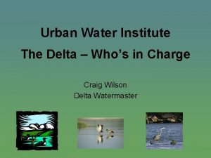 Urban Water Institute The Delta Whos in Charge