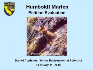 Humboldt Marten Petition Evaluation Photo credit Keith Slauson