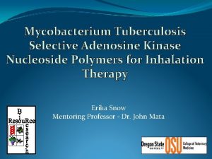Mycobacterium Tuberculosis Selective Adenosine Kinase Nucleoside Polymers for