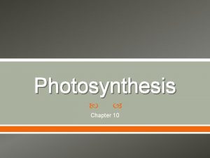 Photosynthesis Chapter 10 Autotroph vs Heterotroph Autotrophs o