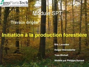 Module SPT Travaux dirigs Initiation la production forestire