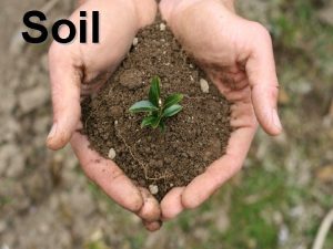 Soil Characteristi cs Regolith The layer of rock