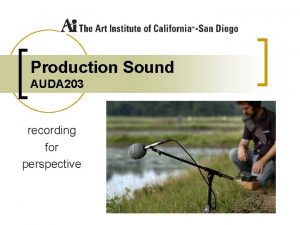 Production Sound AUDA 203 recording for perspective What