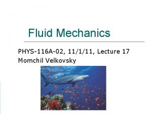 Fluid Mechanics PHYS116 A02 11111 Lecture 17 Momchil