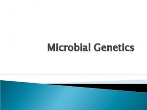 Microbial Genetics Microbial Genetics is the study of