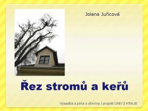 Jolana Juicov ez strom a ke Vsadba a