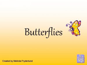 Butterflies Created by Melinda Frydenlund Butterflies Butterflies are