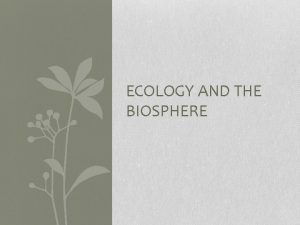 ECOLOGY AND THE BIOSPHERE Ecology the scientific study