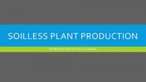 SOILLESS PLANT PRODUCTION IAFNR Plant and Soil Sciences