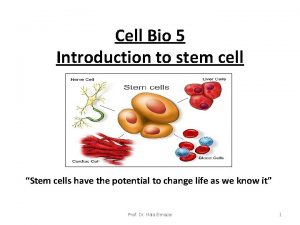 Cell Bio 5 Introduction to stem cell Stem