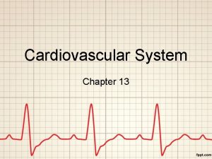 Cardiovascular System Chapter 13 Cardiovascular System At rest