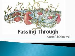 Passing Through Karen 2 Xingwei CLASS General Biology