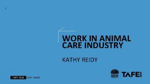 1 WORK IN ANIMAL CARE INDUSTRY KATHY REIDY