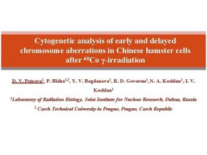 Cytogenetic analysis of early and delayed chromosome aberrations