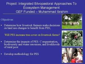 Project Integrated Silvopastoral Approaches To Ecosystem Management GEF