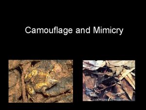 Camouflage and Mimicry Camouflage Have you ever wondered