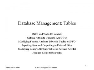 Database Management Tables INFO and TABLES module Getting