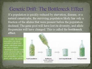 Genetic Drift The Bottleneck Effect If a population