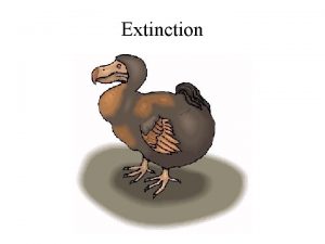 Extinction What makes species vulnerable to extinction The