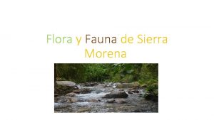 Flora y Fauna de Sierra Morena La Flora