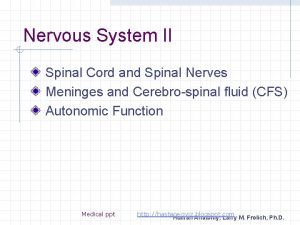 Nervous System II Spinal Cord and Spinal Nerves
