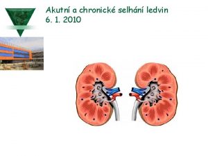 Akutn a chronick selhn ledvin 6 1 2010