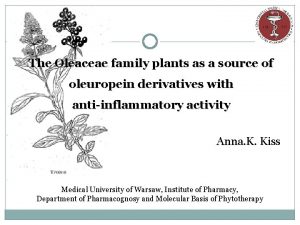 The Oleaceae family plants as a source of