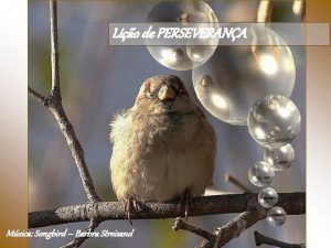 Lio de PERSEVERANA Msica Songbird Barbra Streisand J