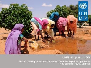 UNDP Support to LDCs Thirtieth meeting of the