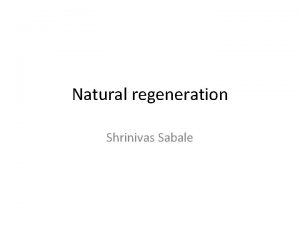 Natural regeneration Shrinivas Sabale Regeneration Renewal of forest