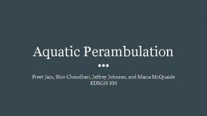 Aquatic Perambulation Preet Jain Shiv Choudhari Jeffrey Johnson